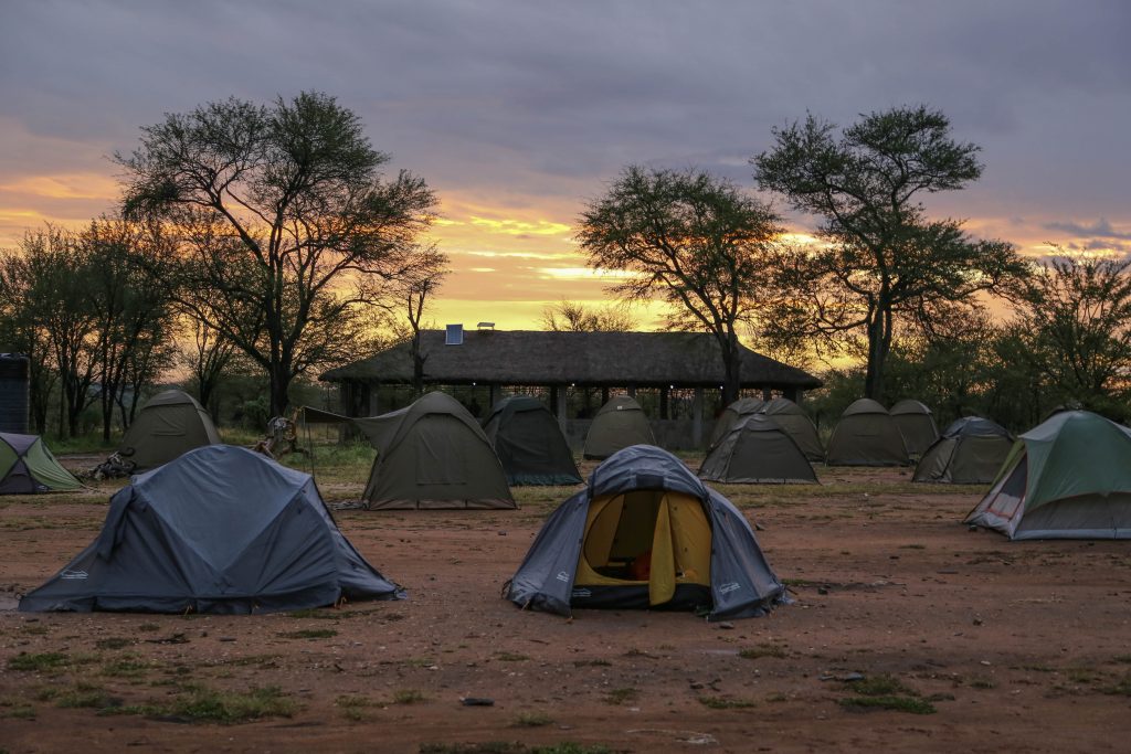 Manyara, Serengeti and Ngorongoro